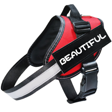 Reflective Dog Leash Harness